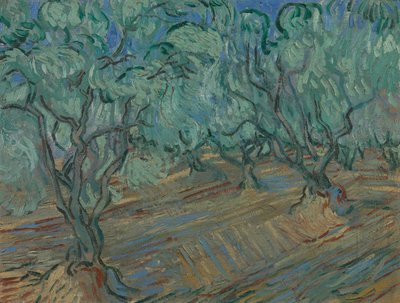 Olivenhain von Vincent van Gogh